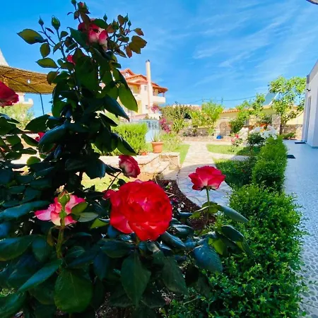 Cankaj Guest house *