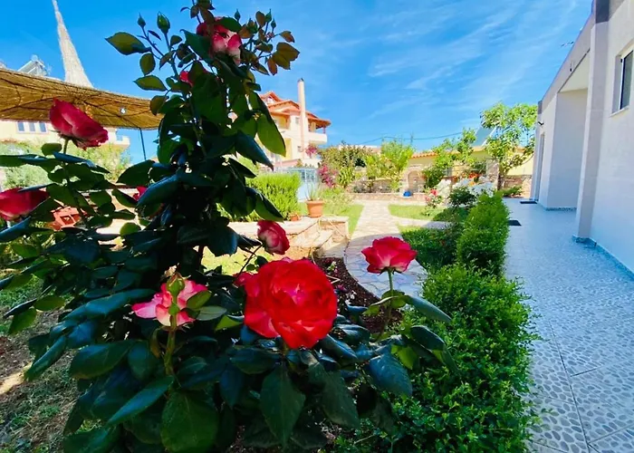 Cankaj Guest house *